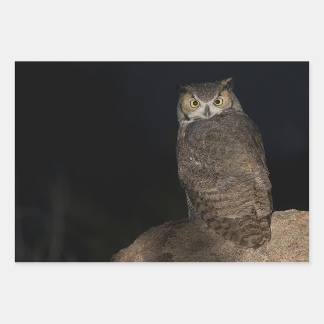 Back yard Great Horned Owl Wrapping Paper Sheet (Front)