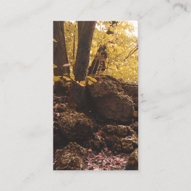 backbone state park iowa business card (Front)