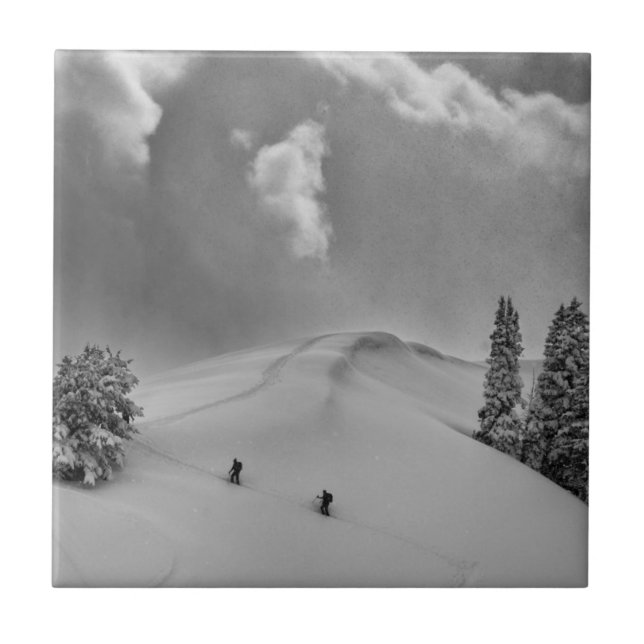 Backcountry Ski Climbers in fresh powder Tile (Front)