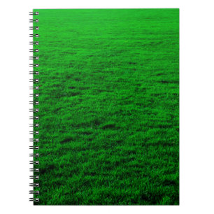 Background green grass lawn notebook