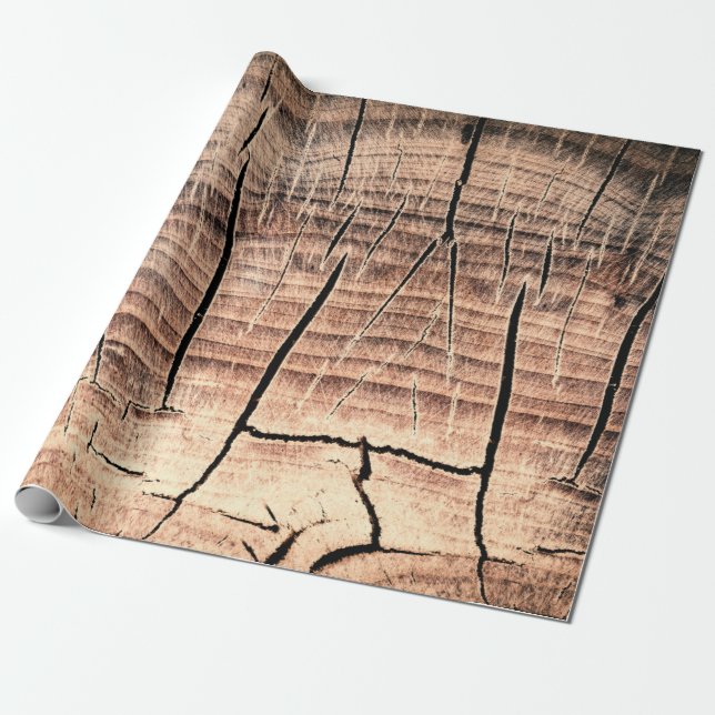 background of a wooden stumpabstract, age, aging,  wrapping paper (Unrolled)