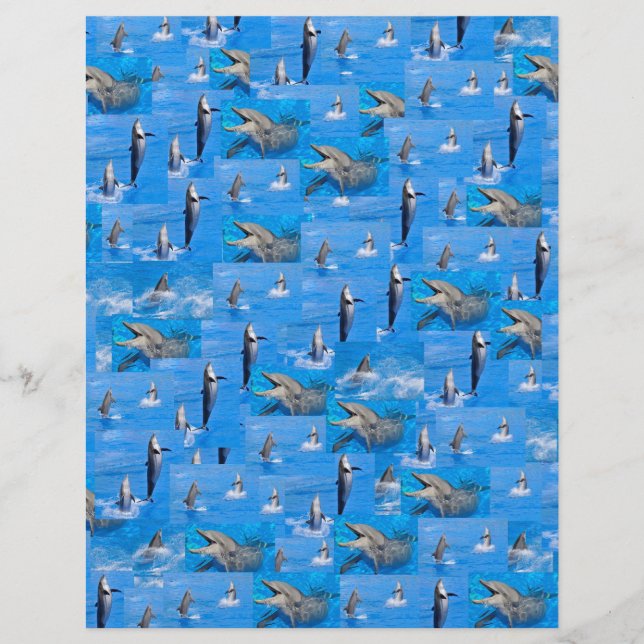 Background of multiple dolphins (Front)
