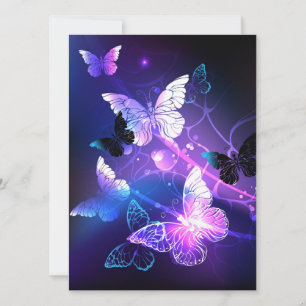 Background with Night Butterflies Holiday Card