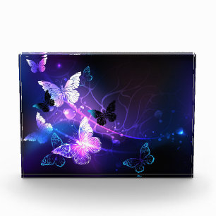 Background with Night Butterflies Photo Block
