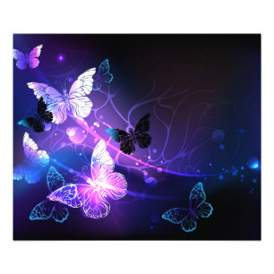 Background with Night Butterflies Photo Print