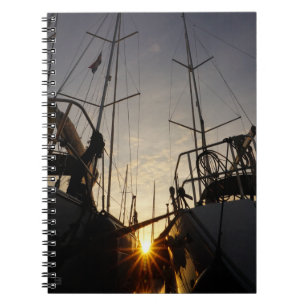 Backlight on 2 sailboats in the harbor. notebook