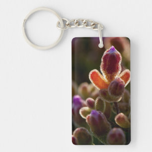 Backlit Colourful Succulent Flower Bud With Rim Key Ring
