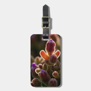 Backlit Colourful Succulent Flower Bud With Rim Luggage Tag