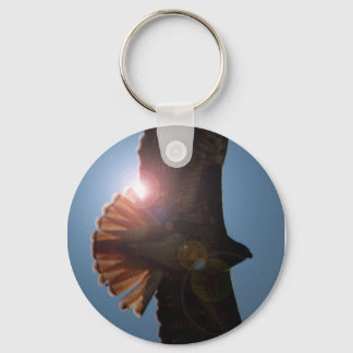 Backlit Hawk Key Ring