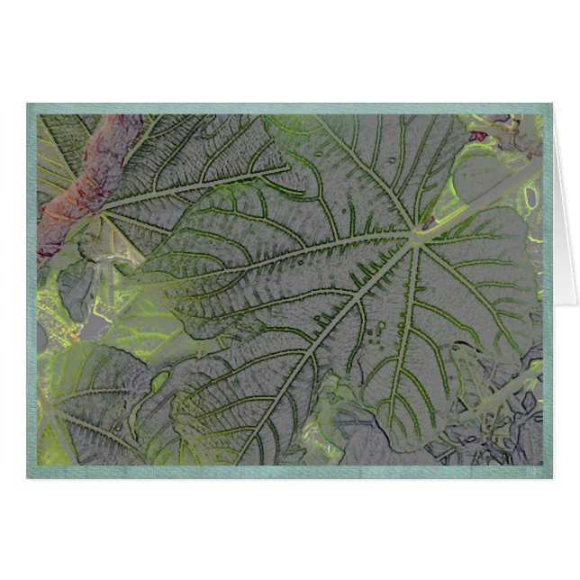 Backlit leaves in a summer garden (Front Horizontal)