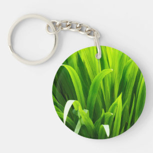 Backlit Leaves in Garden Key Ring