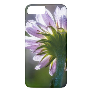 Backlit Purple Wildflower With Dewdrops Case-Mate iPhone Case
