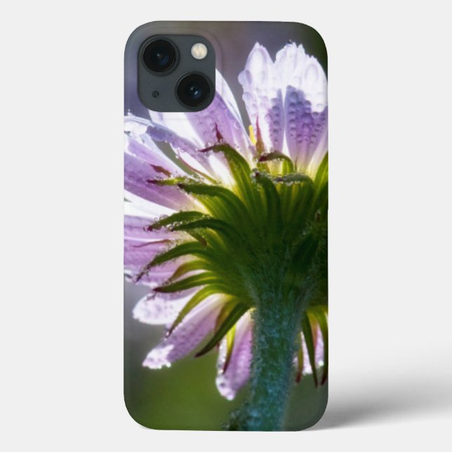 Backlit Purple Wildflower With Dewdrops Case-Mate iPhone Case (Back)