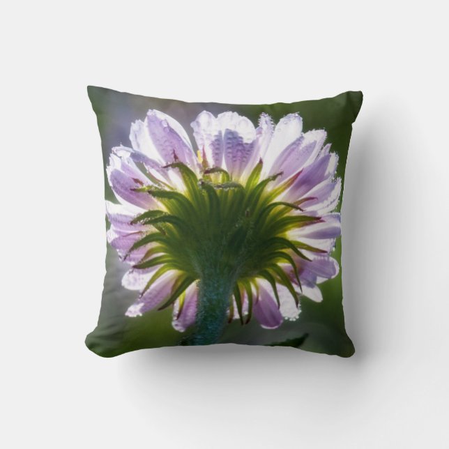 Backlit Purple Wildflower With Dewdrops Cushion (Front)