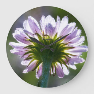 Backlit Purple Wildflower With Dewdrops Large Clock