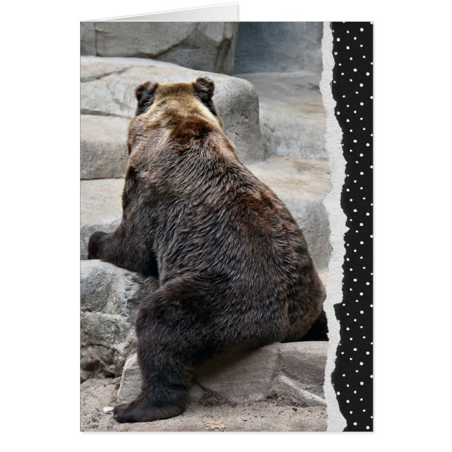 Backward Birthday Bear (Front)