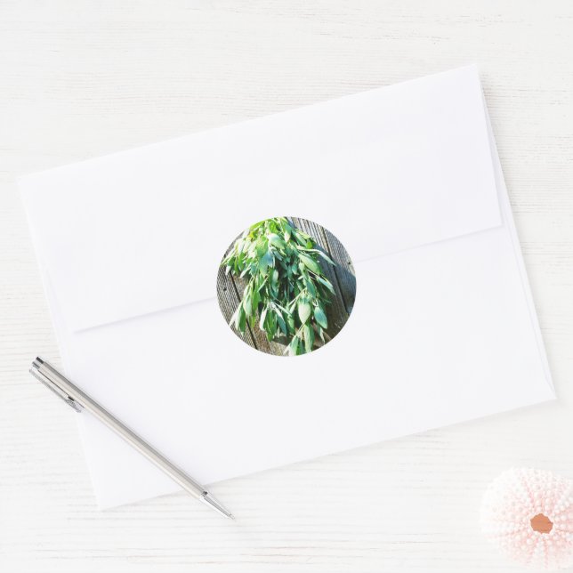 Backyard barn wood and sage | country charm  classic round sticker (Envelope)