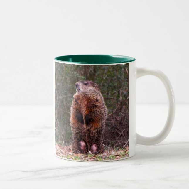Backyard Beaver Mug (Right)
