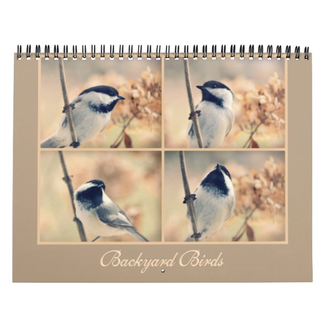Backyard Bird Photography Calendar (Cover)