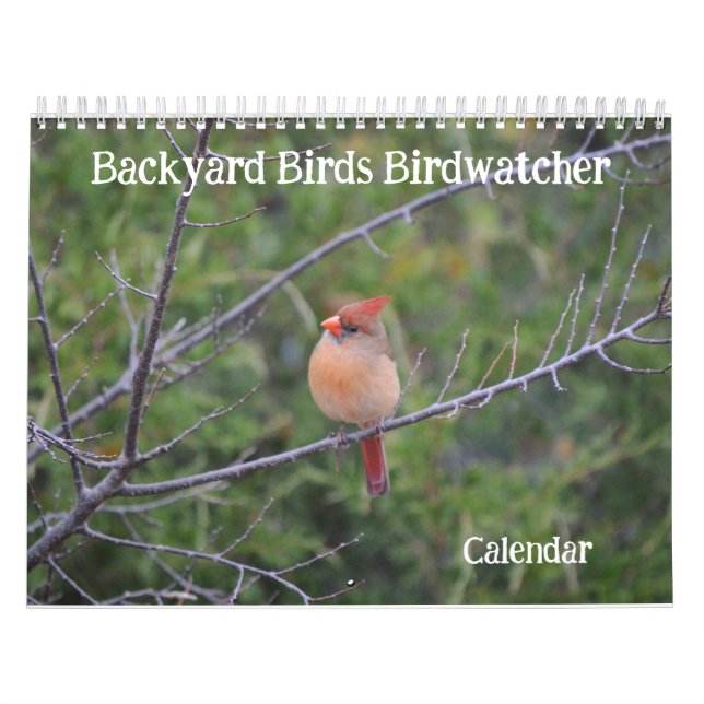 Backyard Birds Birdwatcher Calendar (Cover)