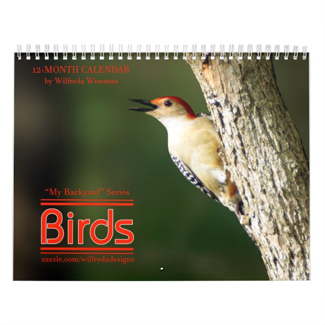 Backyard Birds Calendar 2nd in Series (Cover)
