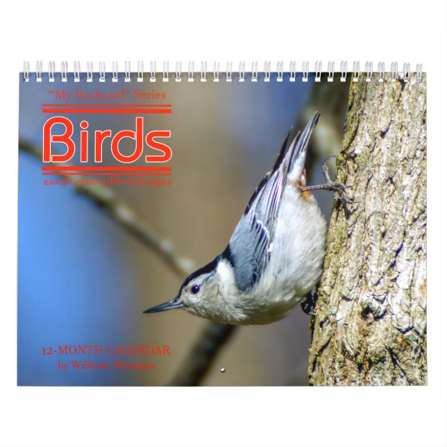 Backyard Birds Calendar 3rd in Series (Cover)