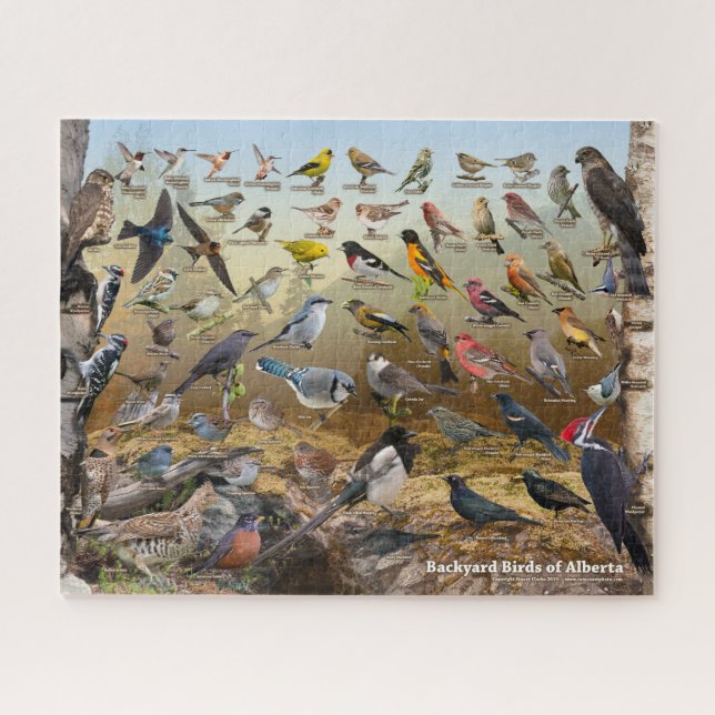Backyard Birds of Alberta Puzzle (Horizontal)