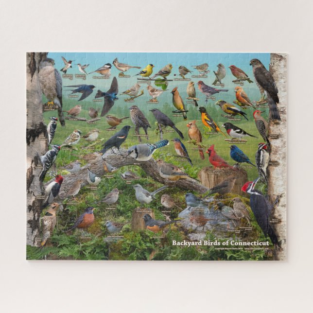 Backyard Birds of Connecticut Jigsaw Puzzle (Horizontal)