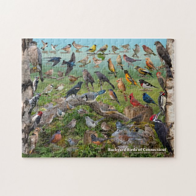 Backyard Birds of Connecticut Jigsaw Puzzle (Horizontal)