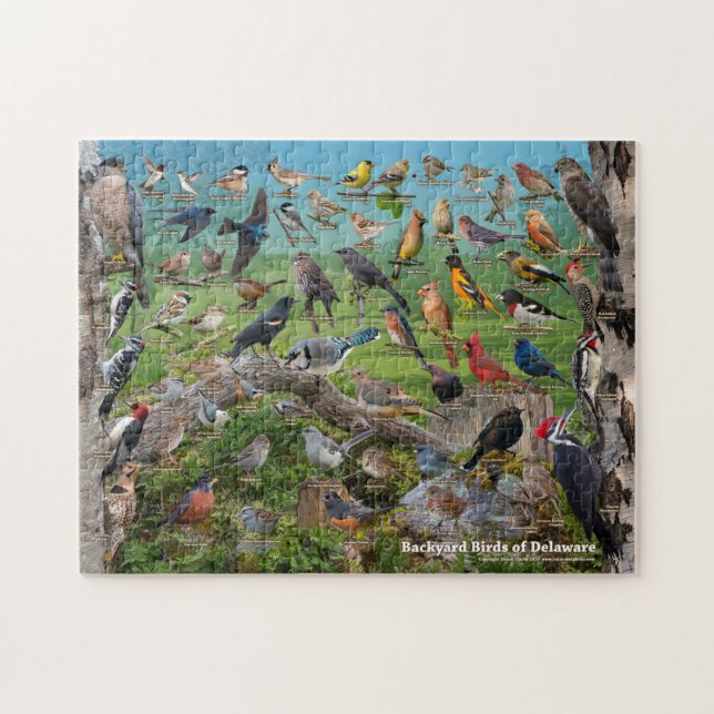 Backyard Birds of Delaware Jigsaw Puzzle (Horizontal)