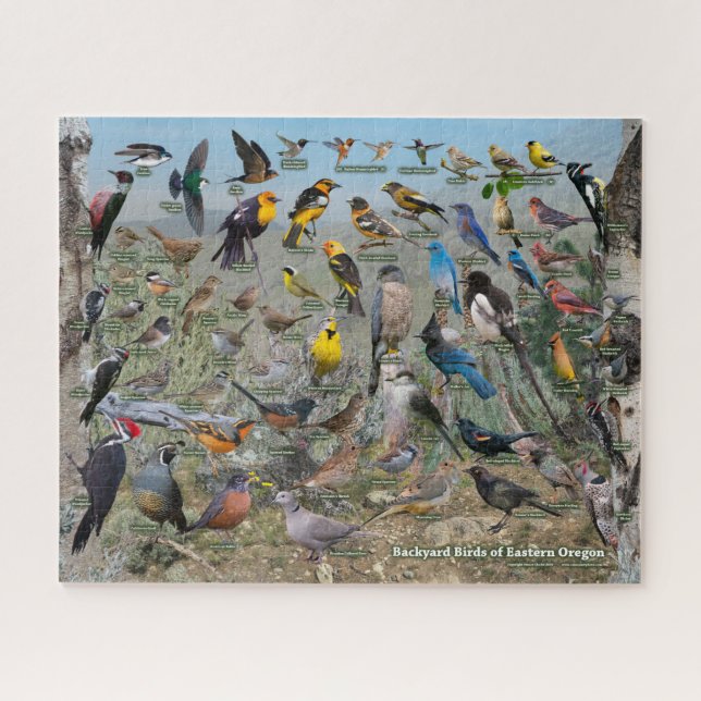Backyard Birds of Eastern Oregon Jigsaw Puzzle (Horizontal)