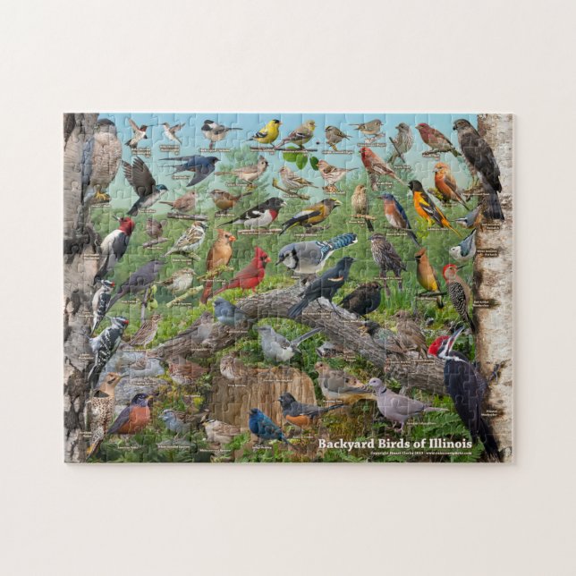 Backyard Birds of Illinois Jigsaw Puzzle (Horizontal)