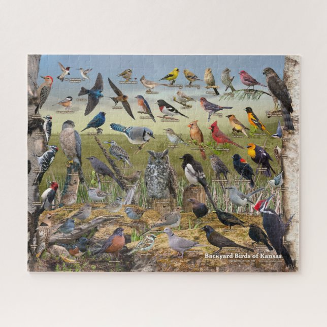 Backyard Birds of Kansas Jigsaw Puzzle (Horizontal)