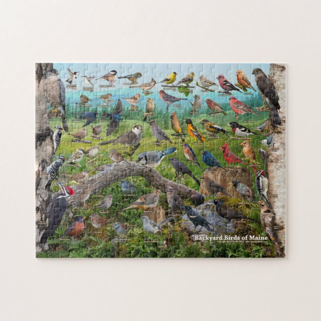 Backyard Birds of Maine Jigsaw Puzzle (Horizontal)