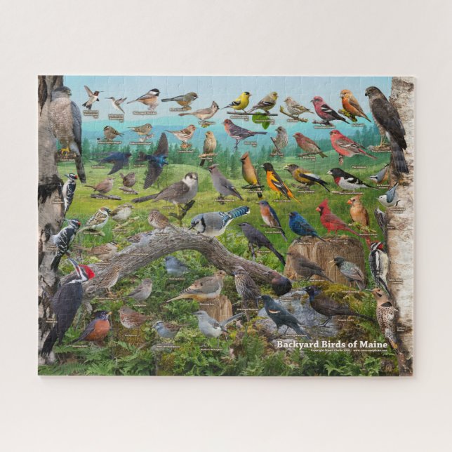 Backyard Birds of Maine Jigsaw Puzzle (Horizontal)