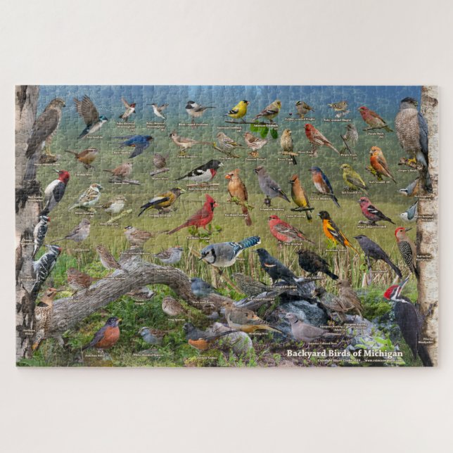 Backyard Birds of Michigan Jigsaw Puzzle (Horizontal)