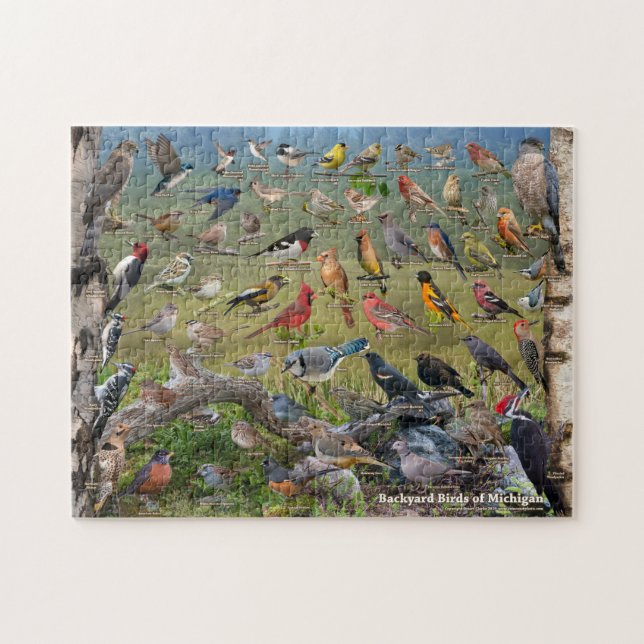 Backyard Birds of Michigan  Puzzle (Horizontal)