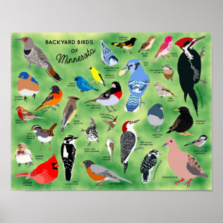 Backyard Birds of Minnesota Poster