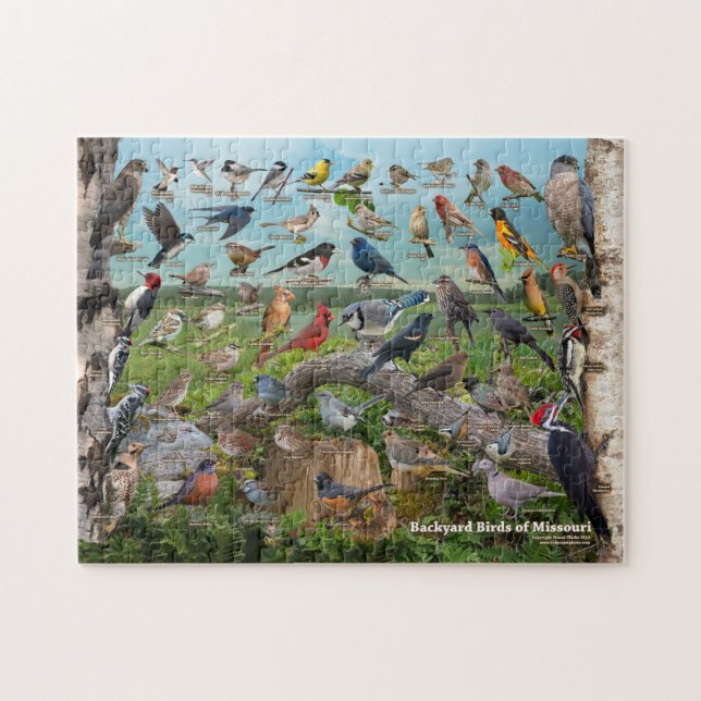Backyard Birds of Missouri Jigsaw Puzzle (Horizontal)