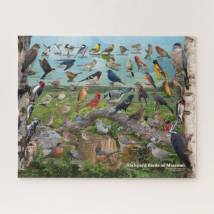 Backyard Birds of Missouri Jigsaw Puzzle