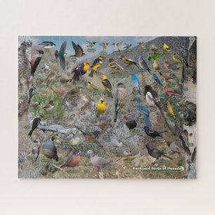Backyard Birds of Nevada Jigsaw Puzzle