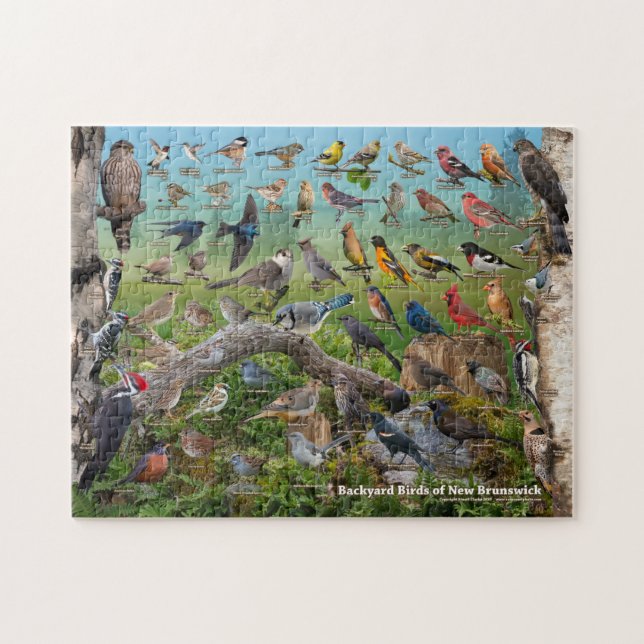 Backyard Birds of New Brunswick Jigsaw Puzzle (Horizontal)