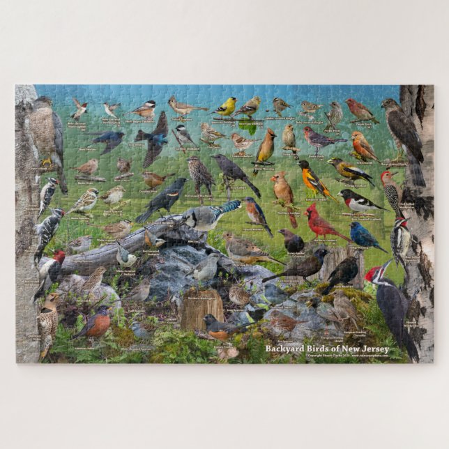 Backyard Birds of New Jersey Jigsaw Puzzle (Horizontal)