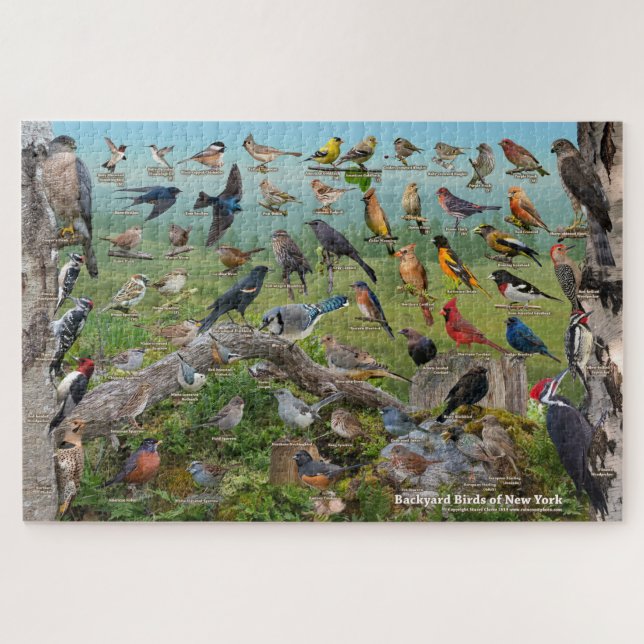 Backyard Birds of New York Jigsaw Puzzle (Horizontal)