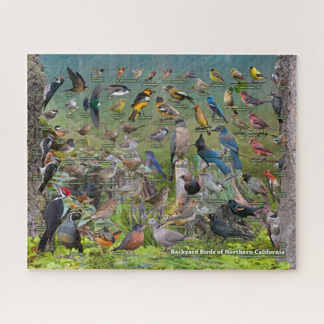 Backyard Birds of Northern California Jigsaw Puzzle (Horizontal)