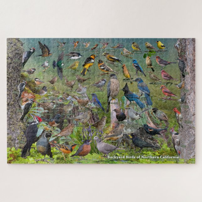 Backyard Birds of Northern California Jigsaw Puzzle (Horizontal)