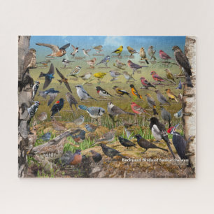 Backyard Birds of Saskatchewan Jigsaw Puzzle