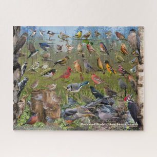 Backyard Birds of Southern Ontario Jigsaw Puzzle
