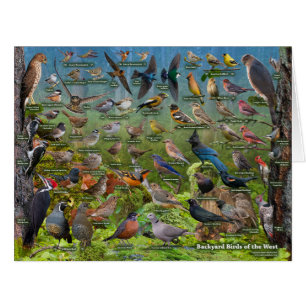 Backyard Birds of the West Jumbo card
