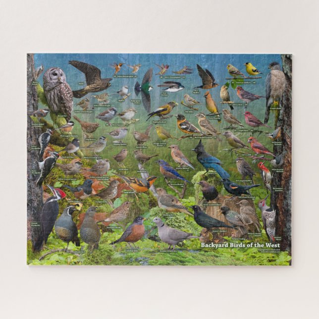 Backyard Birds of the West Puzzle (Horizontal)